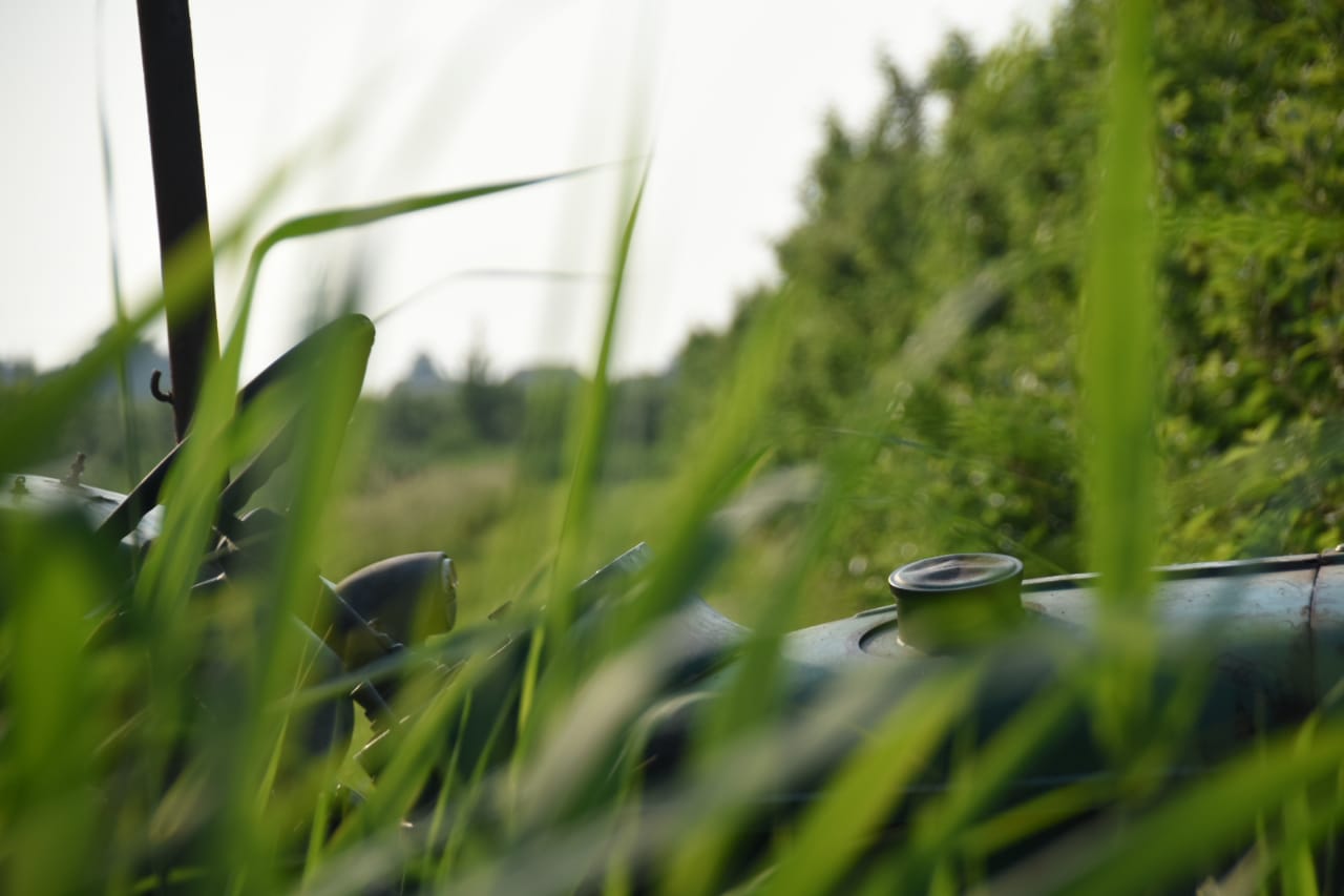 Plantagen auf dem Nagelhof