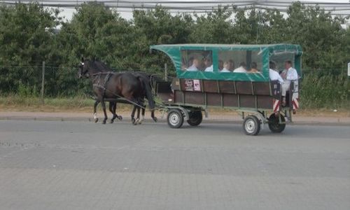 Pferdekutschen im Alten Land
