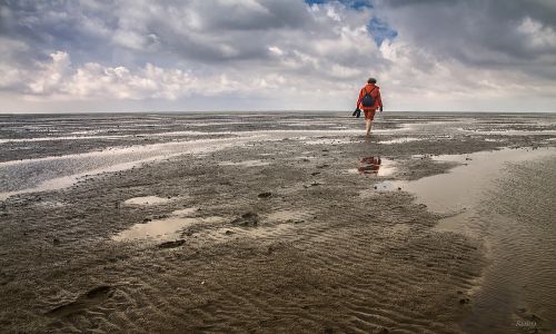 Wattenmeer Cuxhaven, Tagesausflüge Altes Land