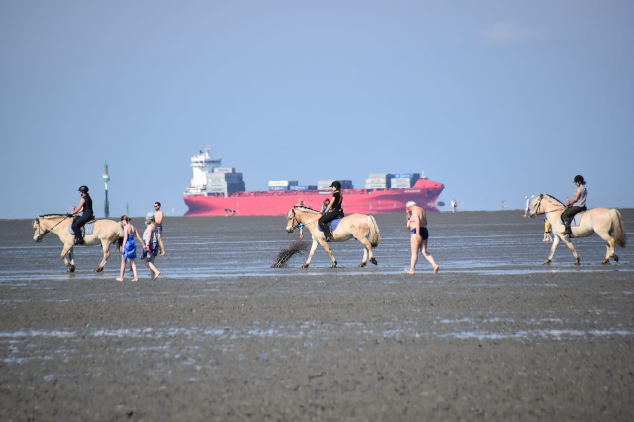 Elbstrand Hollern-Twielenfleth, Badewetter