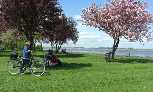Strand und Wiesen Deich Altes Land Hollern-Twielenfleth