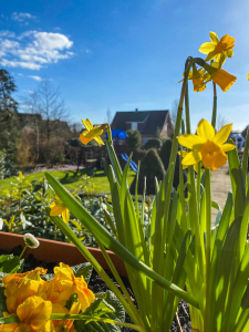 Balkonaussicht der Ferienwohnung 1 Traumzeit