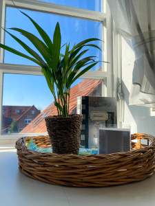 Dekoration Ferienwohnung 1 Traumzeit